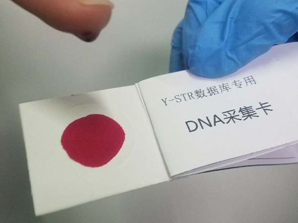 Y-STR DNA數(shù)據(jù)庫專用DNA采集卡